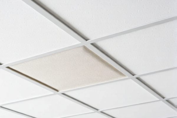 Image for Textile reinforced Plastic Ceiling Panels