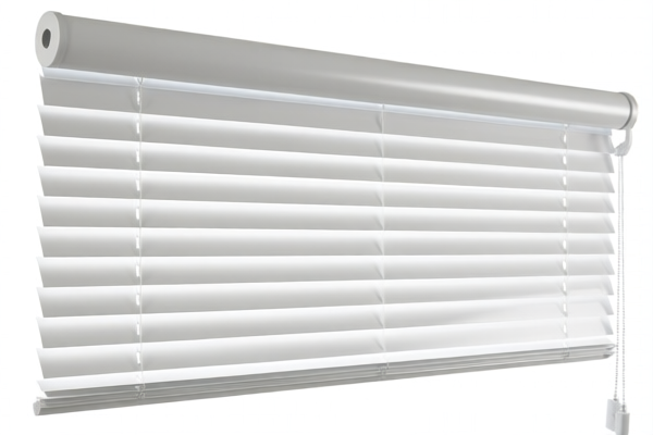 Plastic Roller Blinds