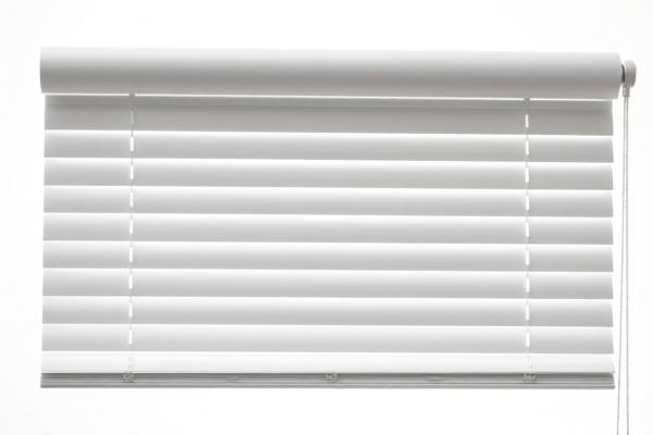 Plastic Roller Blinds