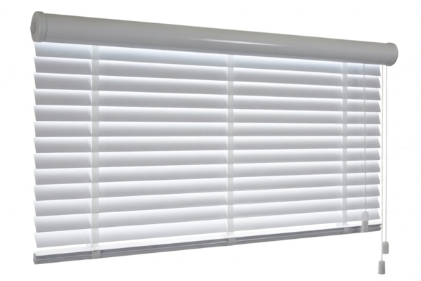 Plastic Roller Blinds