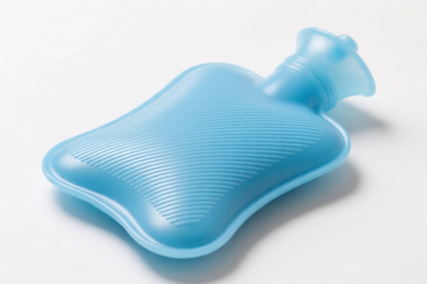 Image for Plastic Hot Water Bottles