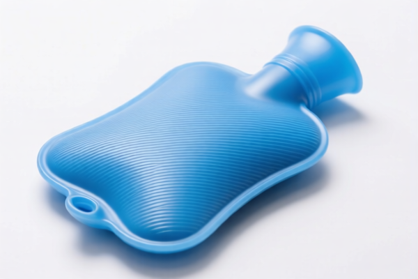 Image for Plastic Hot Water Bottles