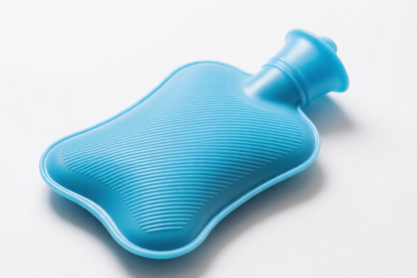 Image for Plastic Hot Water Bottles