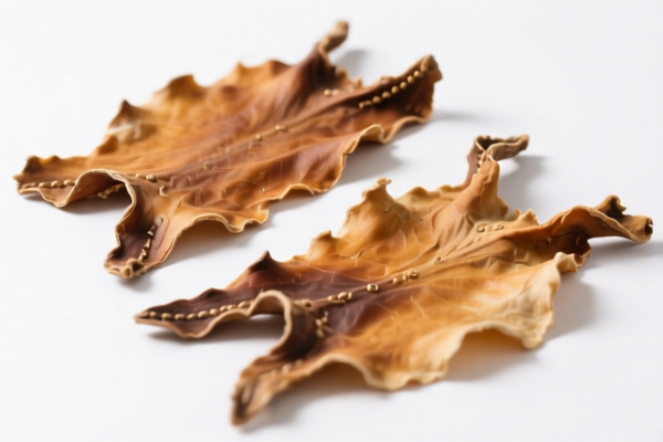 Dry Tanned or Crust Skins of Other Animals for Handicrafts