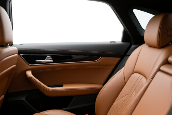 Image for Bovine/equine leather automotive interior sides, without hair