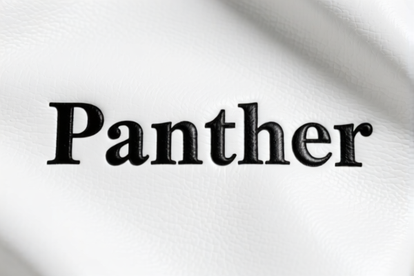 Image for Patent Leather for Furniture Upholstery