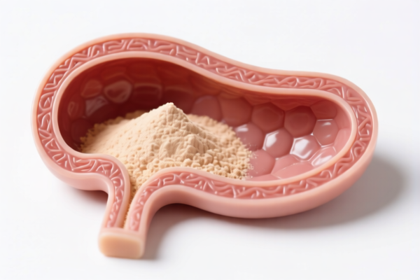 Bladder powder membrane