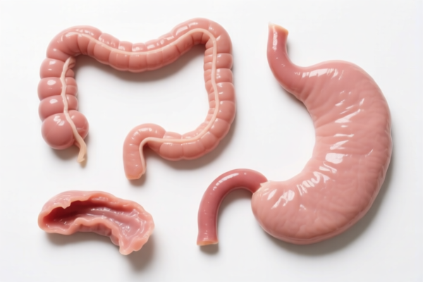 Gut articles