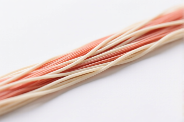 Tendons fiber strip
