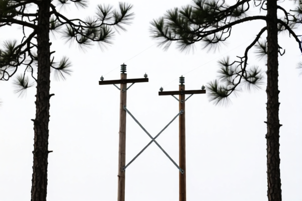 Pine Poles
