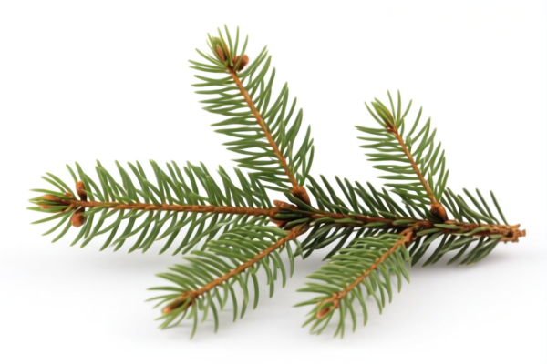 Fir Poles
