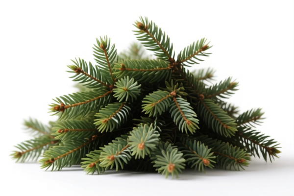 Coniferous Construction Piles
