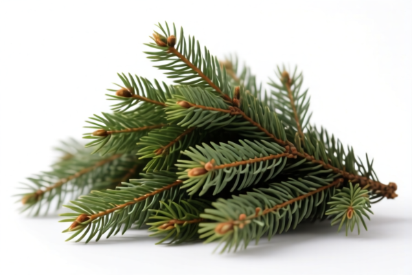 Coniferous Construction Piles