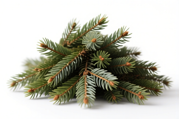 Coniferous Construction Piles