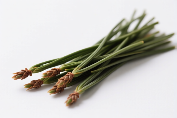 Coniferous Stakes