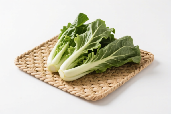 Home Use Vegetable Fiber Woven Mats