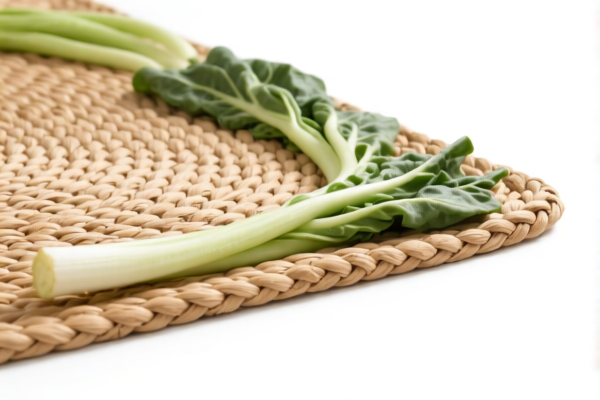 Vegetable Fiber Woven Rugs (Bathroom)
