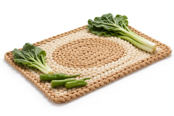 Vegetable Fiber Woven Rugs (Entrance)
