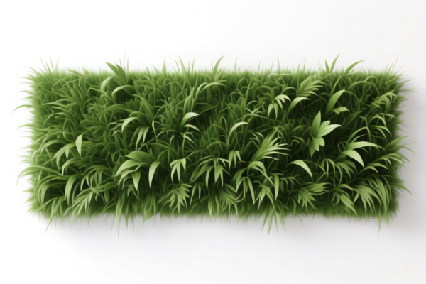 Natural Grass Feature Walls