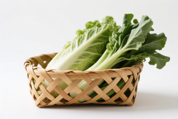 Other vegetable materials plaiting basket
