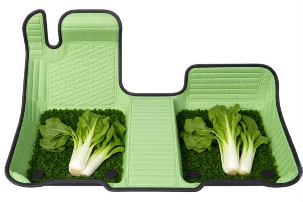 Other Vegetable Fiber Plaited Car Floor Mats