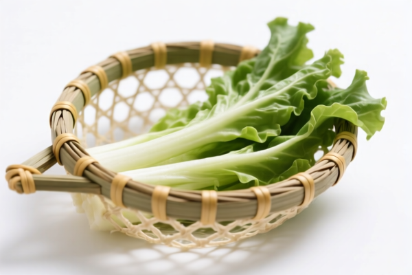 Other Vegetable Fiber Plaited Filter Nets