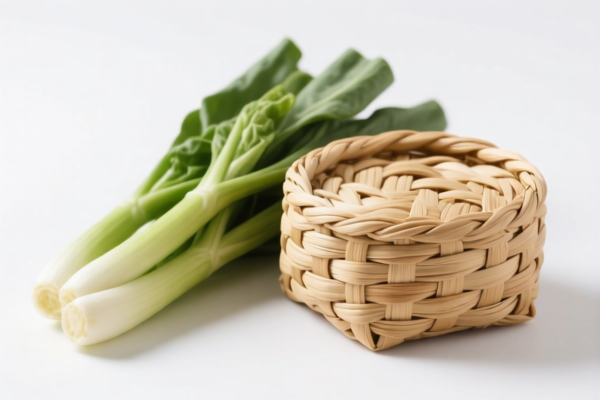 Other Vegetable Fiber Plaited Products