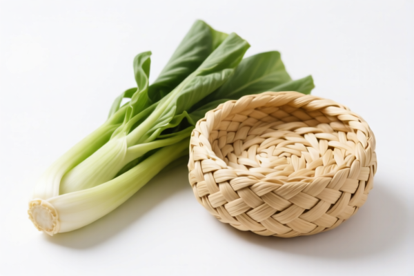 Other Vegetable Fiber Plaited Products