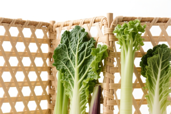 Other Vegetable Fiber Plaited Screens