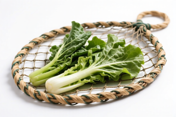 Other Vegetable Material Plaited Fishing Nets