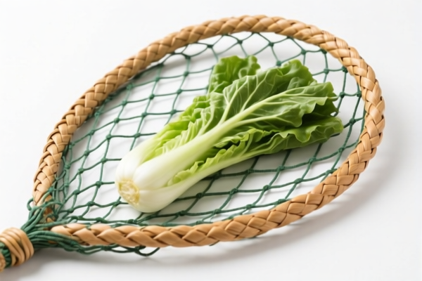 Other Vegetable Material Plaited Fishing Nets