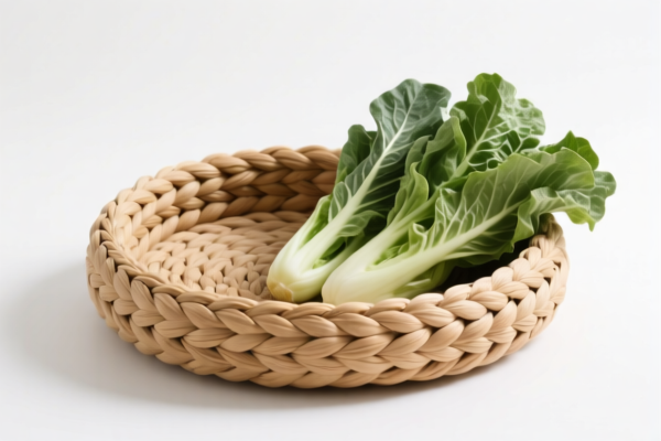 Other Vegetable Material Plaited Pet Beds