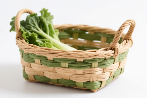Vegetable Fiber Woven Pet Basket