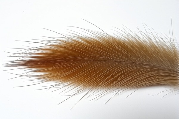 Animal Hair for Hatting