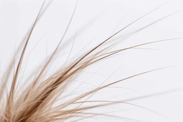 Other fine animal hair (not carded or combed)