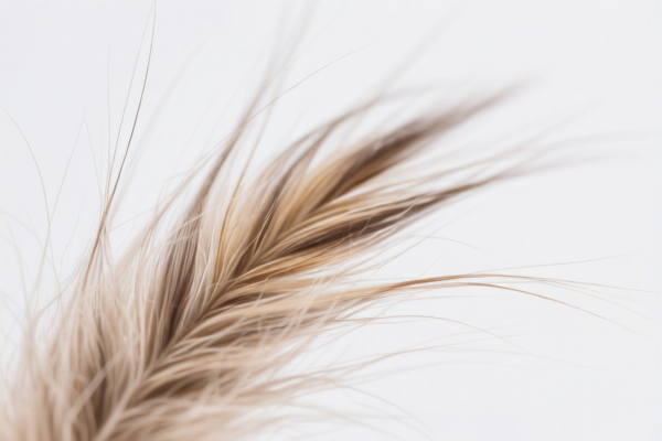 Untreated fine animal hair