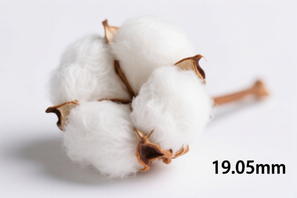 Image for Cotton Fiber Under 19.05mm