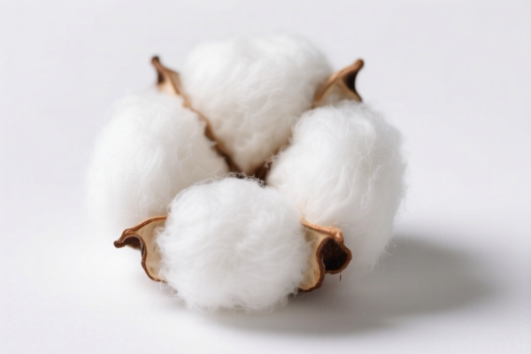 Image for Short Staple Cotton Raw Material