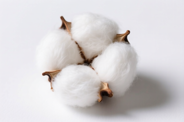 Image for Short Staple Cotton (Sound Absorption Material)