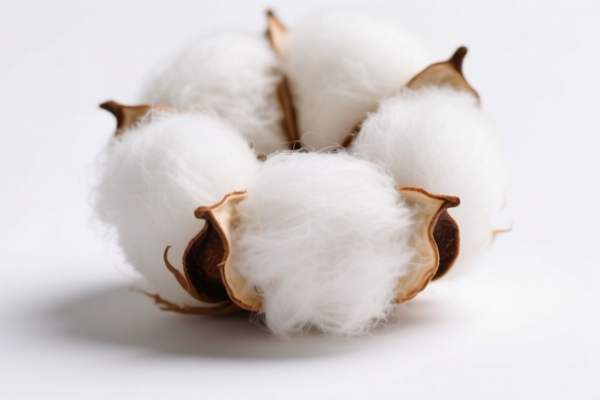 Image for Combed Cotton Fibers