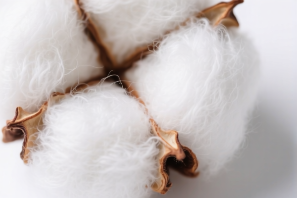 Image for Cotton Extraction Card Fiber
