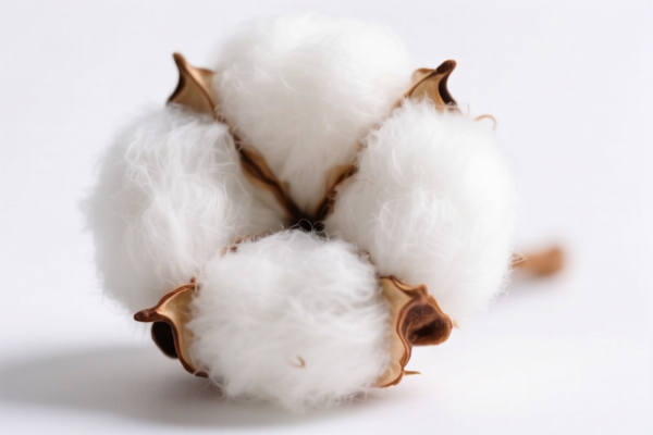 Image for Cotton Fibers (Apparel Grade)