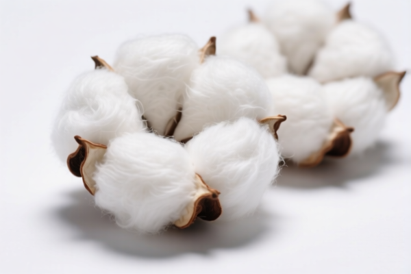 Image for UV Resistant Cotton Fibers