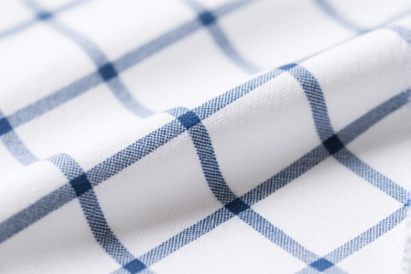 Cotton Blended Oxford Fabric for Home Textiles