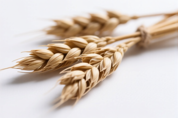 Industrial grade flax fiber