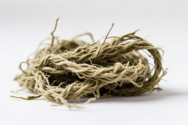 Processed Hemp Fiber