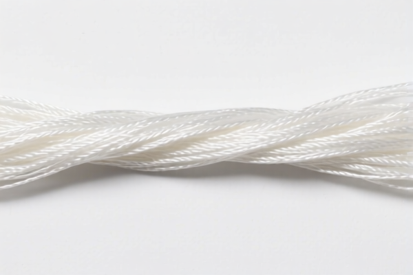 Construction polyester monofilament