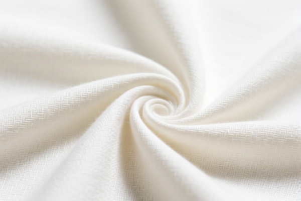 Unbleached polyester filament fabric
