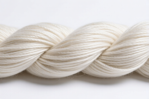 Retail packaged polyamide staple fiber yarn