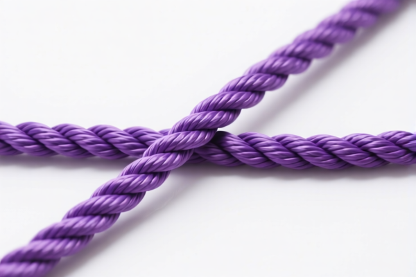 Other purple rope
